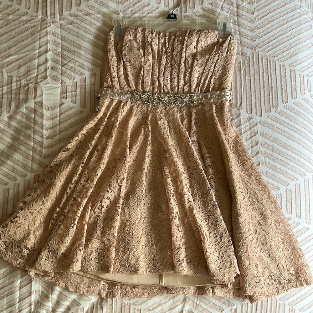 Blush Lace Dress